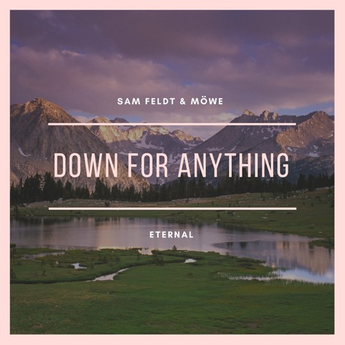 SAM FELDT & MÖWE Feat. Karra - Down For Anything (Al1gn Edit)
