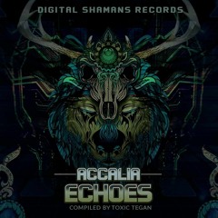Time Fusion (Soon on Digital Shamans rec)