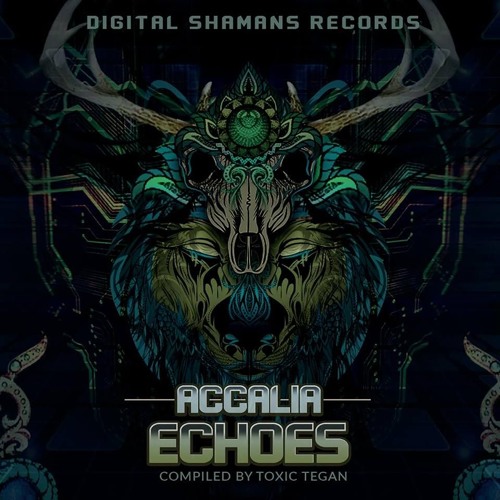 Time Fusion (Soon on Digital Shamans rec)