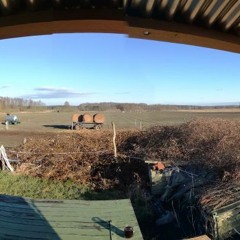 bauwagen_grill_chill_rinder-tinder_ronny+x