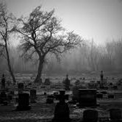 Irie Pit "Dans une bouteille" Cuts - DJ - Impact