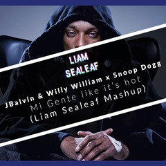 J Balvin x Willy William x Snoop Dogg - Mi Gente like its hot (Liam Sealeaf Mashup)