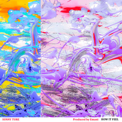 Sunny Ture - How It Feel