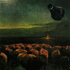 Kell Kellum - Slip/Fall