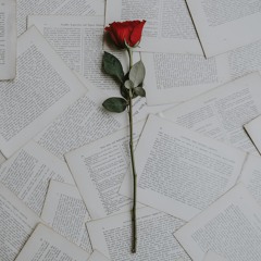 Be My Rose