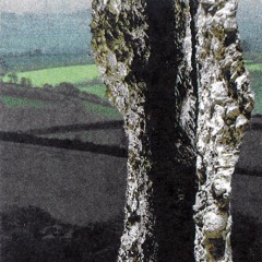 Uncomplicated Nature (excerpt from 'Misc Loops #3' s/sided CS)