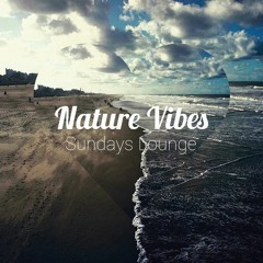 Sundays Lounge Vol 4