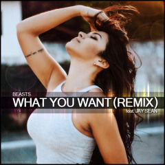 BEASTS feat. Jay Sean - What You Want (Remix)