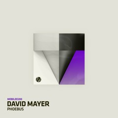 David Mayer - 1000 Hours