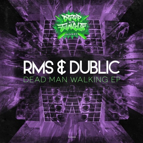 RMS & Dublic - Numbers Up