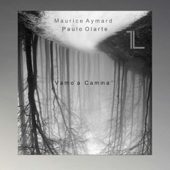 PREMIERE: Maurice Aymard & Paulo Olarte - Vamo A Camina (Pellon Remix) [Parallel]