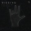 Missing - Soul Grey