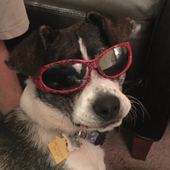 Nothing Yet - Digital Click