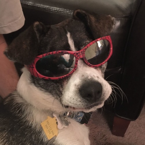 Nothing Yet - Digital Click