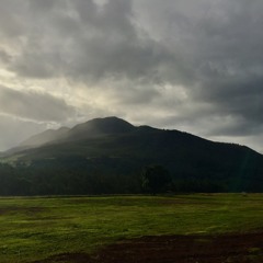 LS