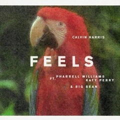 FEELS - Calvin Harris, Katy Perry, Big Sean, Pharrell Williams (Cover).mp3