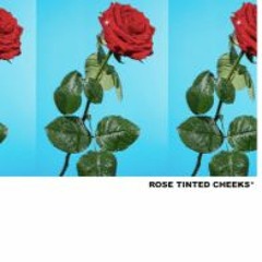 ROSE TINTED CHEEKS - Tyler the Creator