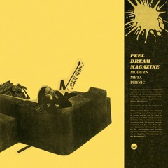 Peel Dream Magazine - Qi Velocity