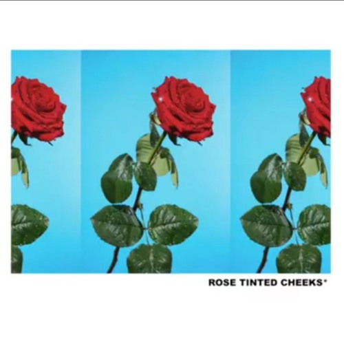 ROSE TINTED CHEEKS *rough draft* - Tyler, The Creator