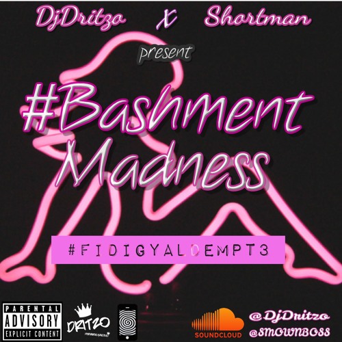 #BashmentMadness - FiDiGyalDemPT3 Mixed By Dritzo X SMOwnBoss