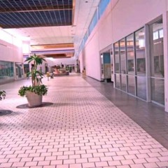 my jinji by sunset rollercoaster but in an empty mall.