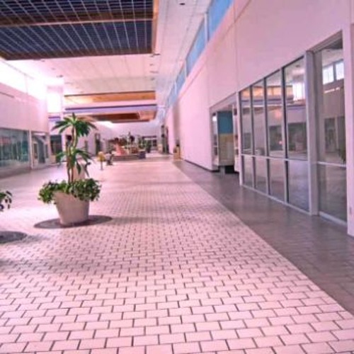 my jinji by sunset rollercoaster but in an empty mall.
