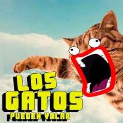 El Gato Volador - ( Remix Dj O.W.i )