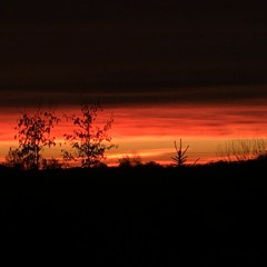 Red Thread Kiirtan (live)