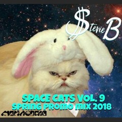 Space Cats Vol.9 (Spring Promo Mix 2018)
