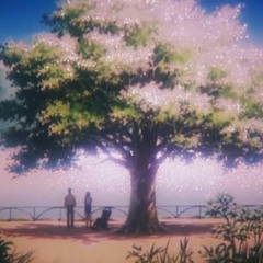 Yung Shin 音 - Boogie And Land