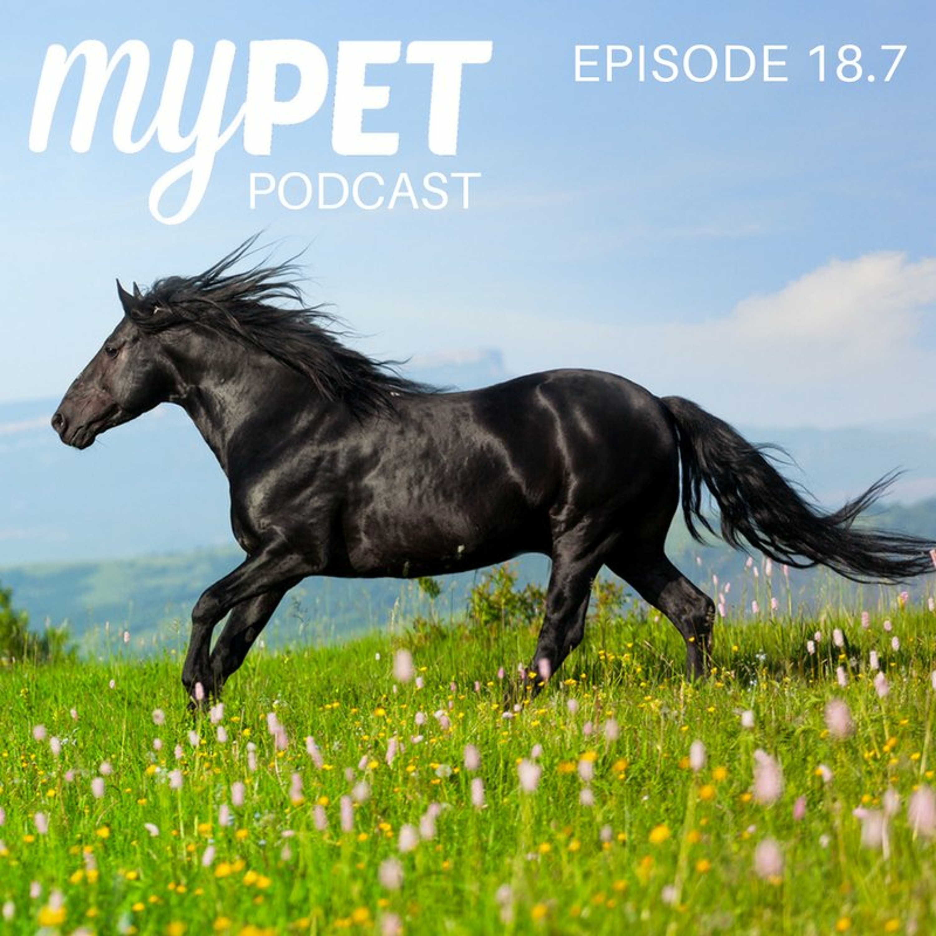 Worming Horses: Your questions answered! episode artwork
