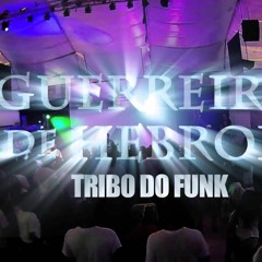 Tribo do Funk - Guerreiro de Hebrom ( Sam Nunnes ) dutch DJ Paulo Henrique Detona