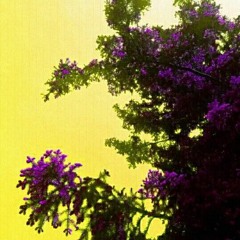 SPILLING HENNESSY - PROD. SEE U IN 2045