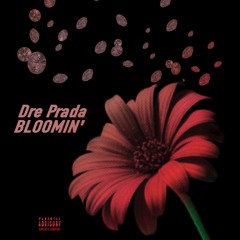 Dre Prada - Bloomin' (Audio)