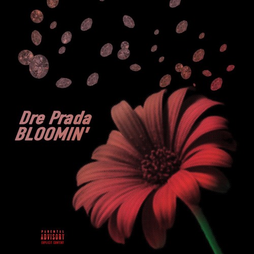 Dre Prada - Bloomin' (Audio)