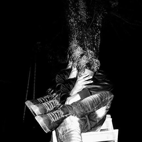 Whyfye : LilWareWolf