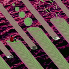 Animated Anomaly