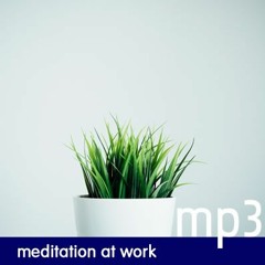 Productivity Booster