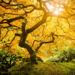 Hope Coming - Interim Worship Band