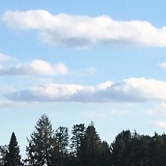 uptop