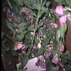 lost within tha sno // mujo情