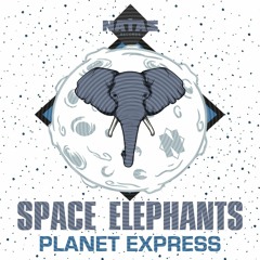 Space Elephants - Planet Express
