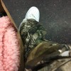 SICKBOYRARI #### NOT FACINATED [PROD GLO! & LIL AMETHYST]