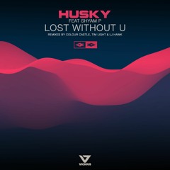 Husky Feat Shyam P - Lost Without U (Radio Cut)