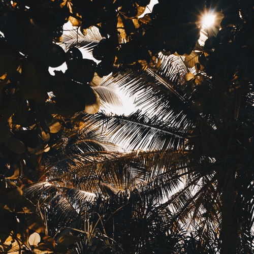 satori - reflections in bloom (april mix)