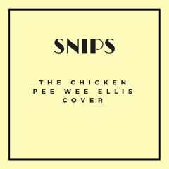 The Chicken - SNIPS (Cover)