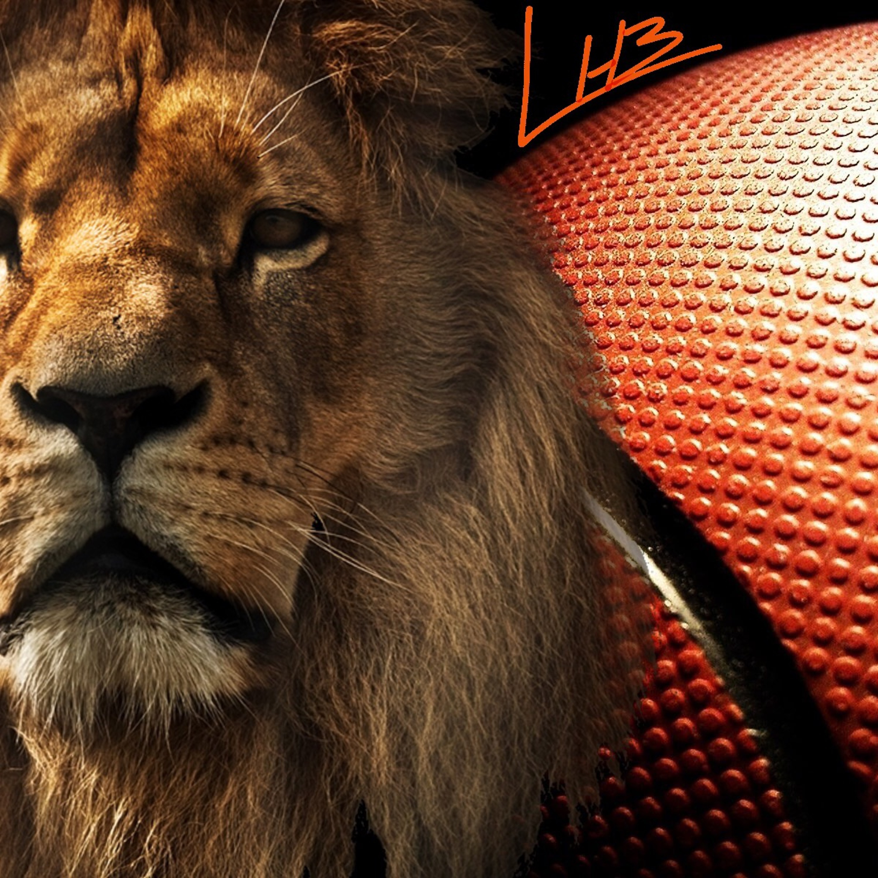 The Lion Heart Basketball Show (The Journey)