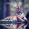 Ella Mai Boo D Up Instrumental Remix Prod By Silasreed Mp3