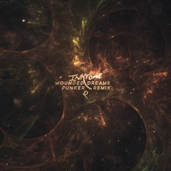 Wounded Dreams (Punker Remix)