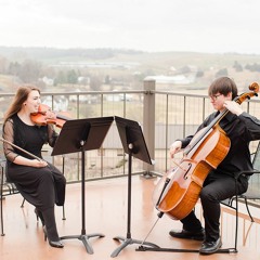 Violin/Cello - Flower Duet
